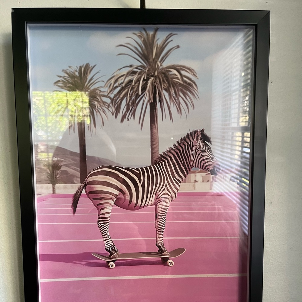 Pop Culture Quirky Art Zebra on an Skateboard Photo Gallery Wall Kids Nursery